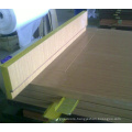 New Design and High Quality Interior Wood Door (LTS-301)